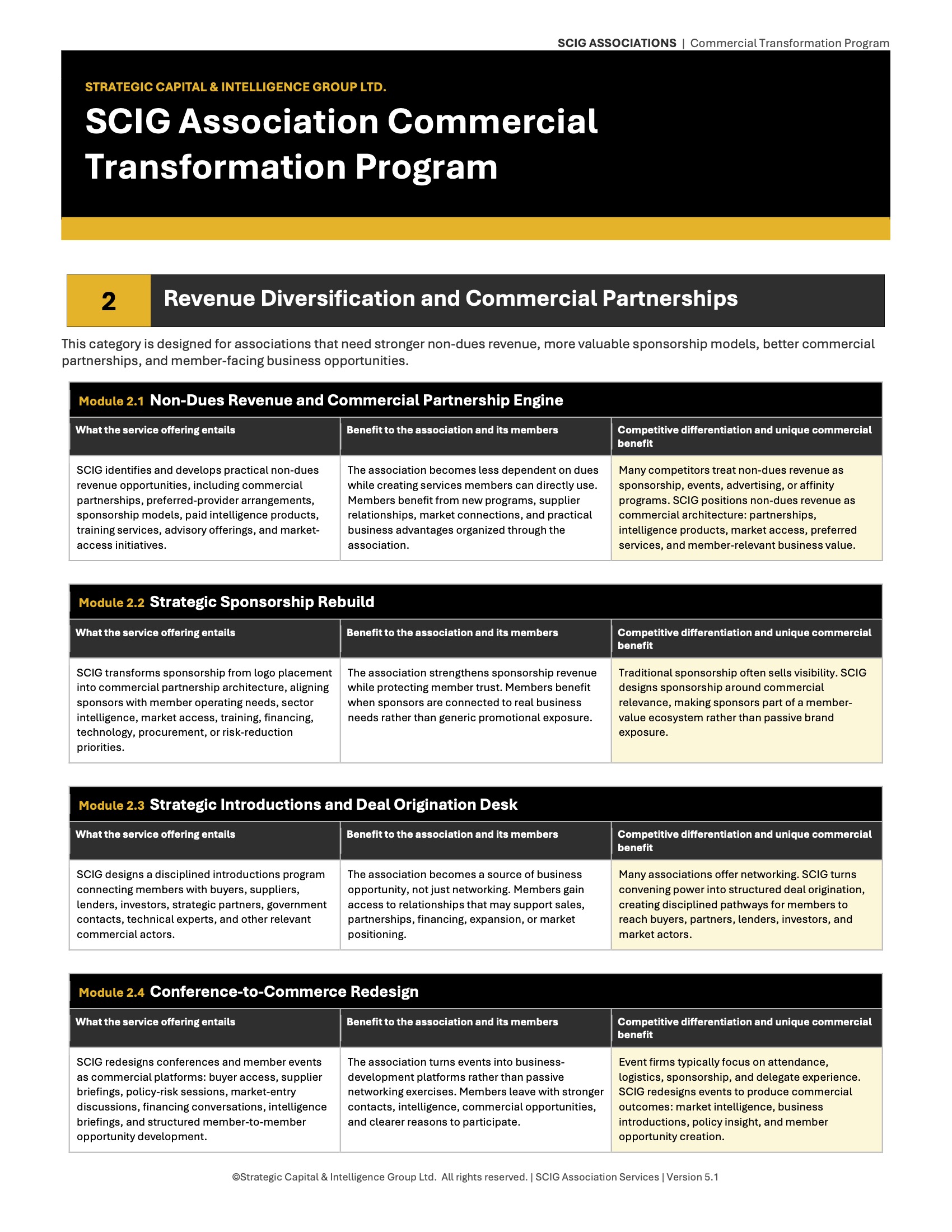 Revenue Diversification Commercial Partnerships V5 1